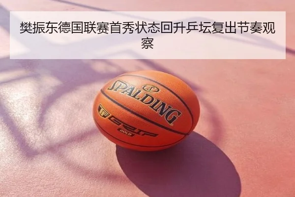 樊振东德国联赛首秀状态回升乒坛复出节奏观察